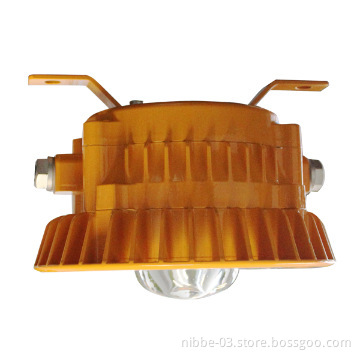 IEC EX explosion-proof LED bulb lamp
